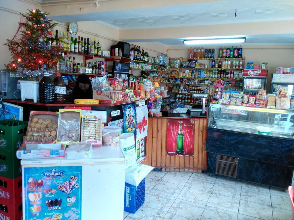 Vila Marcela Busteni Bilik gambar